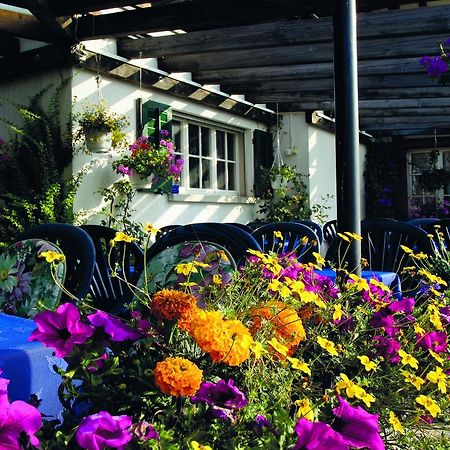 Hotel Garni Sonne Munsterlingen Екстер'єр фото
